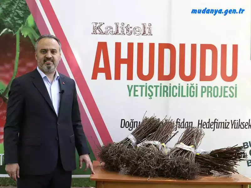 125 bin ahududu fidanı Bursalı üreticilerin adreslerine teslim edildi.