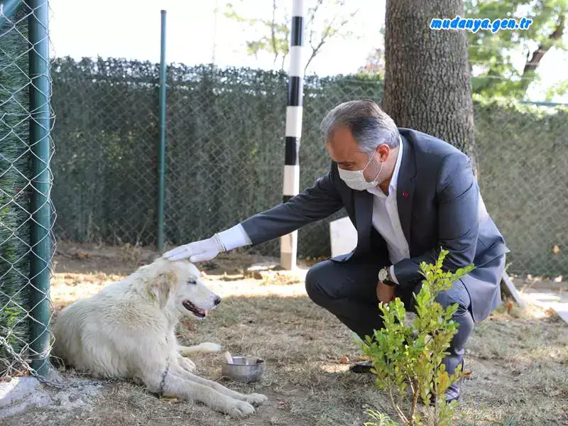 Bursa Büyükşehir’den can dostlarına modern yuva