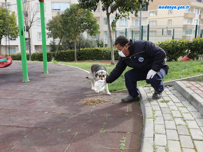 “MUDANYA’DA Sahipsiz Değiller, Biz Varız”