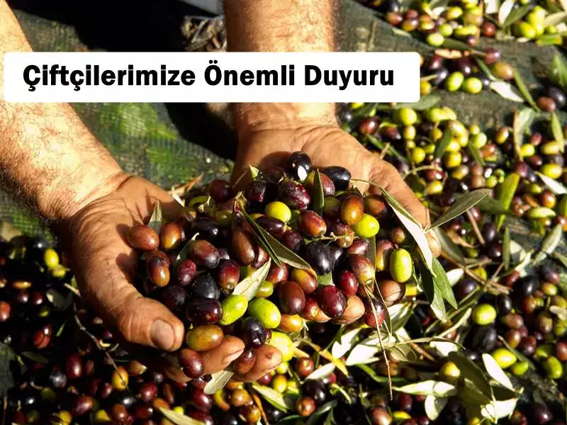 Mudanya İlçe Tarım ve Orman Müdürlüğü'nden Çiftçilere Duyuru