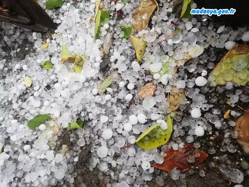Meteoroloji yetkiliklerinin saatlerdir uyardığı yoğun yağış Mudanya'nın Balabancık, Küçük Yenice, Dedeköy, Yaylacık, Akköy, Ülkü Köy, Mürsel kırsal mahallelerinde tarımsal ürünlere zarar verdi.