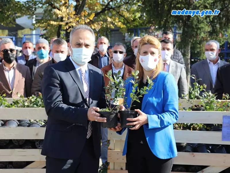 Üzümsü meyvelerin başkenti Bursa olacak