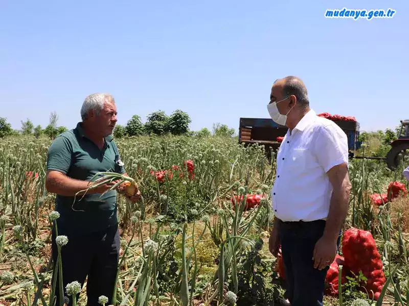 Mudanya Belediyesi Karacabey Çiftçisinden 35 Ton Soğan Satın Aldı.
