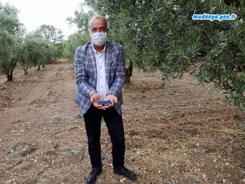 Mudanya Belediyesinden Dolu Mağduru Üreticiye Alım Garantisi