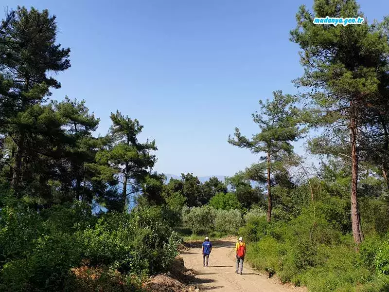 Kadim medeniyetlere ev sahipliği yapan Mudanya, konumu gereği Asya ve Avrupa arkasinda Liman vazifesi görmüștür. 11. Asırda Haçlı Seferleri esnasında Avrupa'dan Asya'ya geçen Haçlılar denizden Mudanya'yı gorűnce,yer șekillerinin tepelik olmasindan dolayı, dağlık anlamina gelen Montanya ismini vermișler. Türkler döneminde Mudanya denilmiștir.