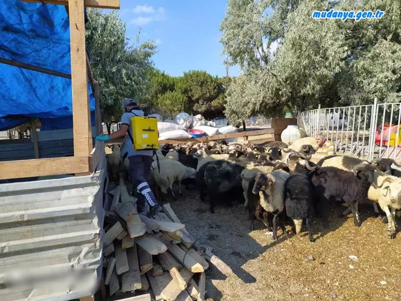 BÜYÜKŞEHİR BELEDİYESİ MUDANYA'DA SİNEKLE MÜCADELESİNİ ARALIKSIZ SÜRDÜRÜYOR