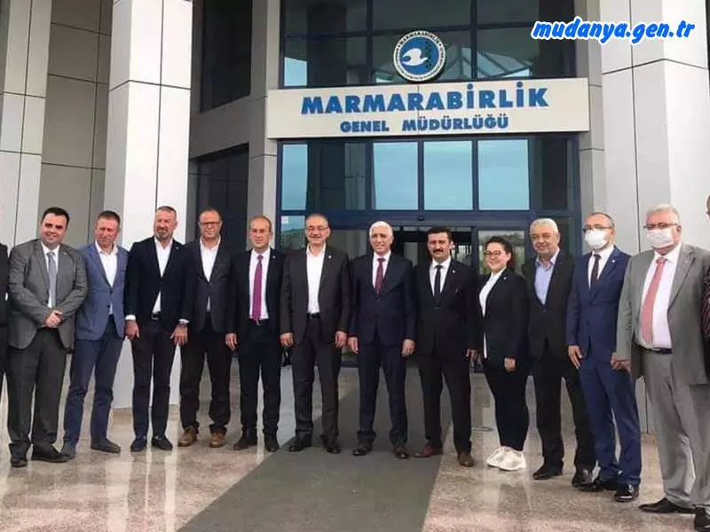 İYİ PARTİ " Zeytinde Fiyat Güncellemesi Şart "