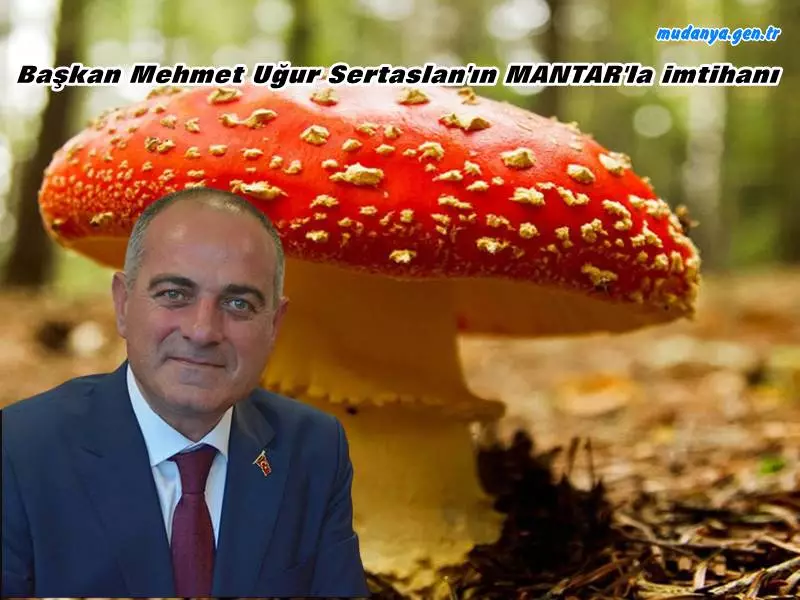 Bursa Gemlik Belediye Başkanı Sertaslan mantardan zehirlendi!