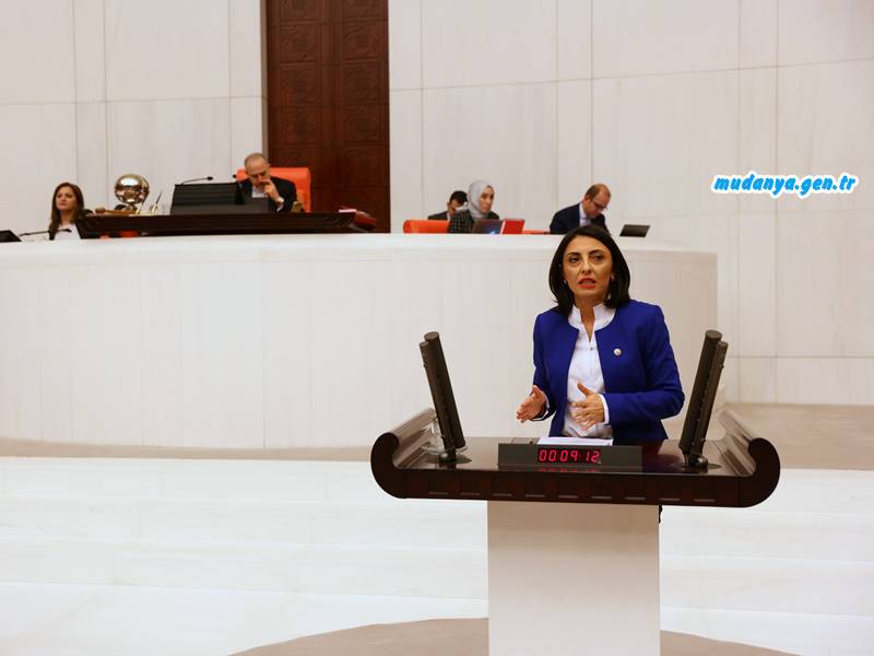 Chp’li Kayışoğlu “HİÇ Mi Vicdanınız Sızlamadı ”