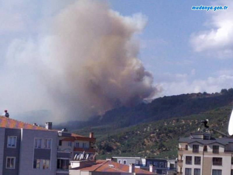 Mudanya'da Orman Yangını