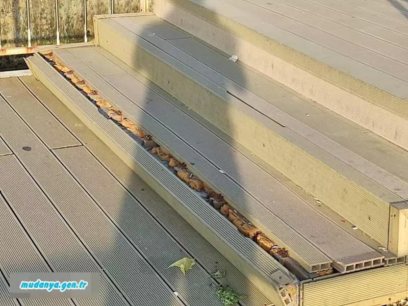 Mudanya Sahil bandı dökülüyor. Durum vahim