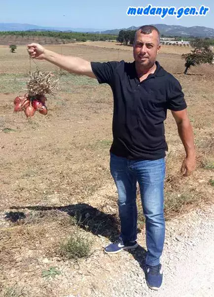 öğütpınar'lı okul arkadașım Emir Göç, bir zamanlar bizim köyde yılda birkaç bin ton soğan yetiştirilirdi, șimdi artık birkaç üretici soğan yetiștirmektedir. Aynı durum komşu köyler için de geçerlidir. Köylü geçinemediği için gençler șehre tașınmakta, bu sefer de genç ișgücü azaldığından üretim de azalmaktadır.