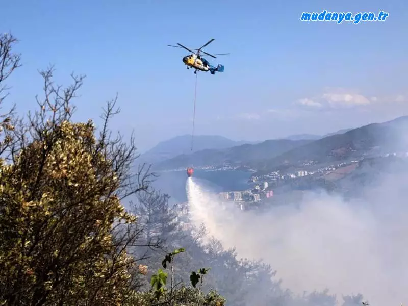 Işıklı Mahallesi Kırsalındaki Orman Yangını Kontrol Altına Alındı. 2 Hektarlık Alan Yandı.