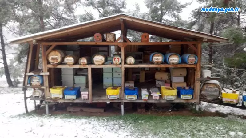 Mudanya'da kış mevsiminde arıcılık