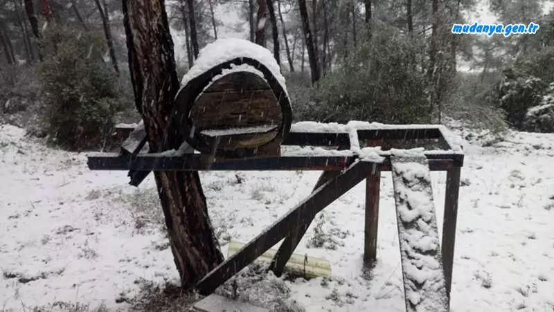 Mudanya'da kış mevsiminde arılar ne yer