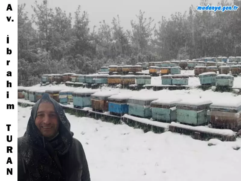 Mudanya'da ARICILIK 1- Kış Dönemi. Avukat İbrahim TURAN