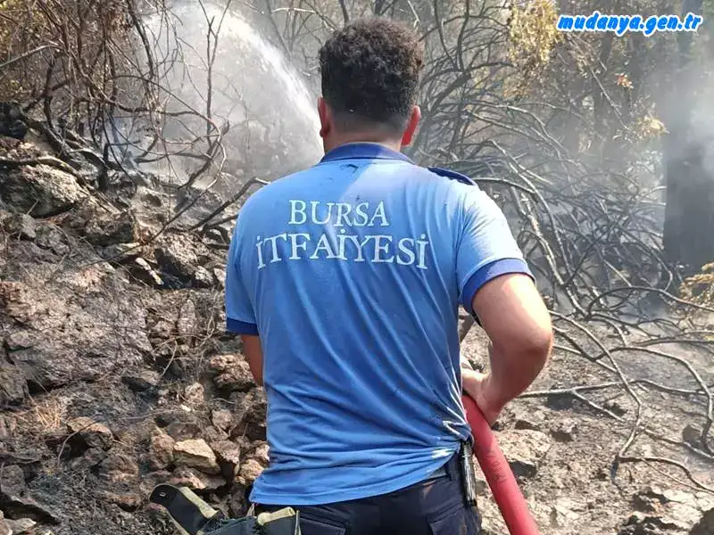 Antalya'da Başlayıp Yayılan Orman Yangınlarına Bursa'dan Müdahale