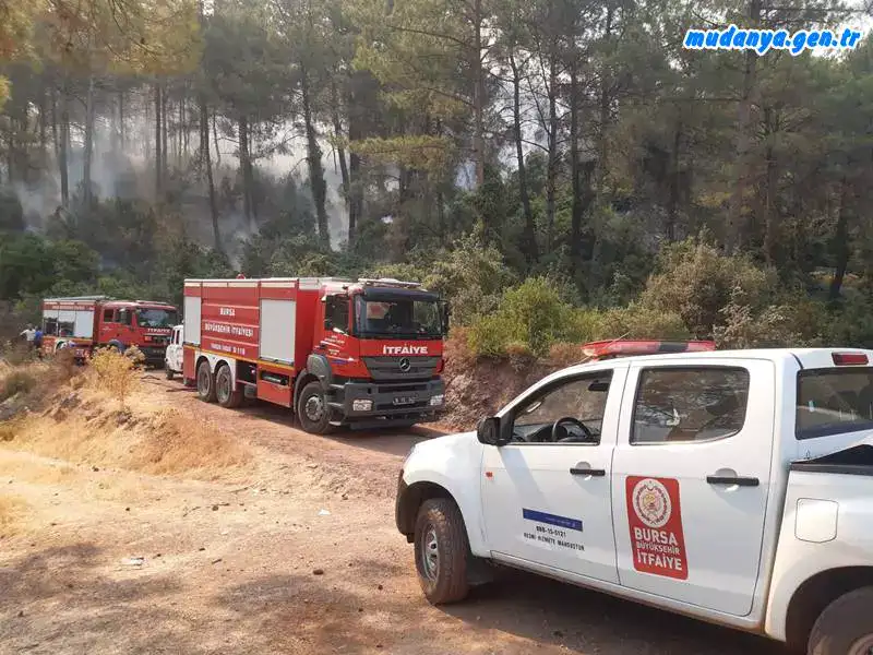 Antalya'nın Manavgat ilçesinde 28 Temmuz'da başlayan ve ardından 30 farklı ilde çıkan yangınlara müdahale devam ediyor. 6 kişinin yaşamını yitirdiği, binlerce hayvanın telef olduğu, orman ve tarım arazileri ile sera alanlarının küle döndüğü yangınlarla mücadele seferberliğine 7 araç ve 21 personelle katılan Bursa Büyükşehir Belediyesi ekipleri, Muğla’nın Marmaris İlçesi’ne bağlı Orhaniye ve Yukarı Keçibükü Mahallelerinde alevlerle savaşıyor.
