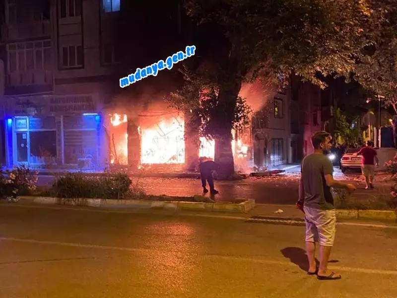 ÇAYIR ÇAYIR YANDI KÜLE DÖNDÜ