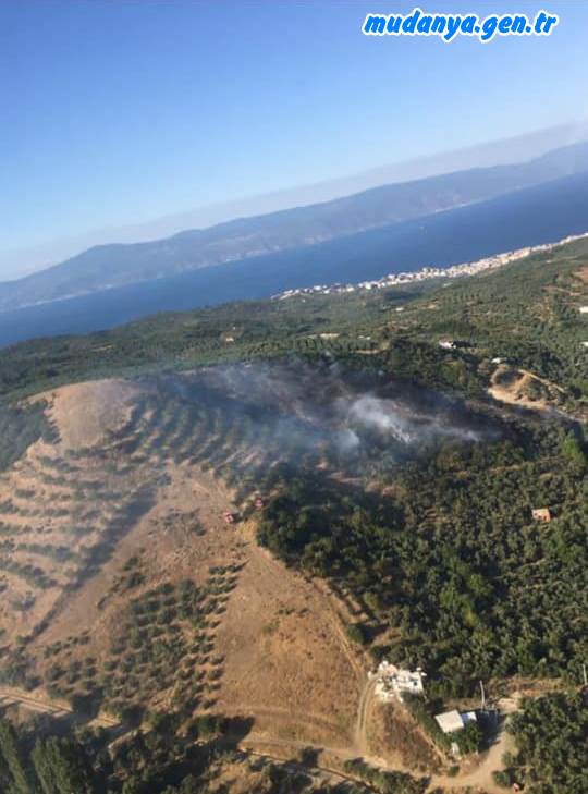 Saat 16:45 civarında Mudanya Çepni Işıklı arasında ve Altıntaş - Altınkum arasında eş zamanlı olarak çıkan Orman yangınlarına 2 adet yangın söndürme helikopteri, Orman İşletmesi ve Bursa Büyükşehir Belediyesi İtfaiyesi müdahale ediyor.