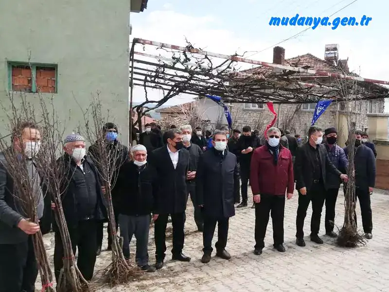 Bursa'nın Dağ İlçelerinde Büyükşehir Destekli Meyvecilik Atılımı