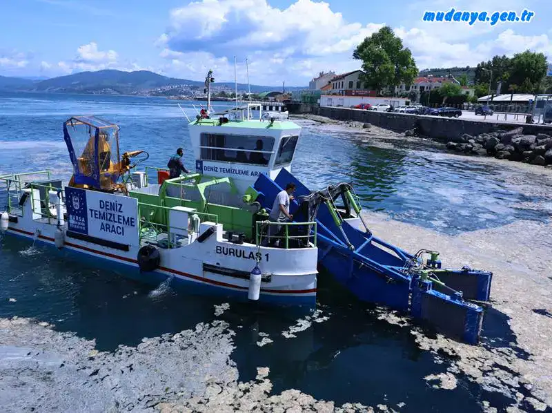 Bursa sahillerinde salya temizleme çalışmaları başladı