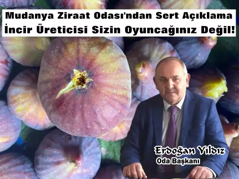 Ziraat Odası Başkanı Yıldız "Siyah İncir Alım Fiyatlarıyla Üreticiyi Oyuncak Haline Getiremezsiniz"