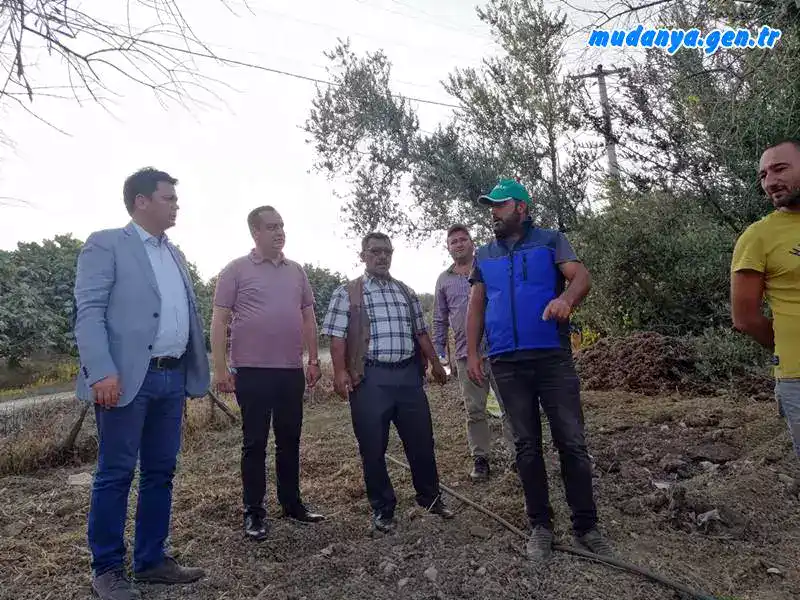 DONDAN ZEYTİN AĞAÇLARI YANAN ÇEPNİ KÖYLÜLERİN ZARARI 8 AYDIR KARŞILANMADI