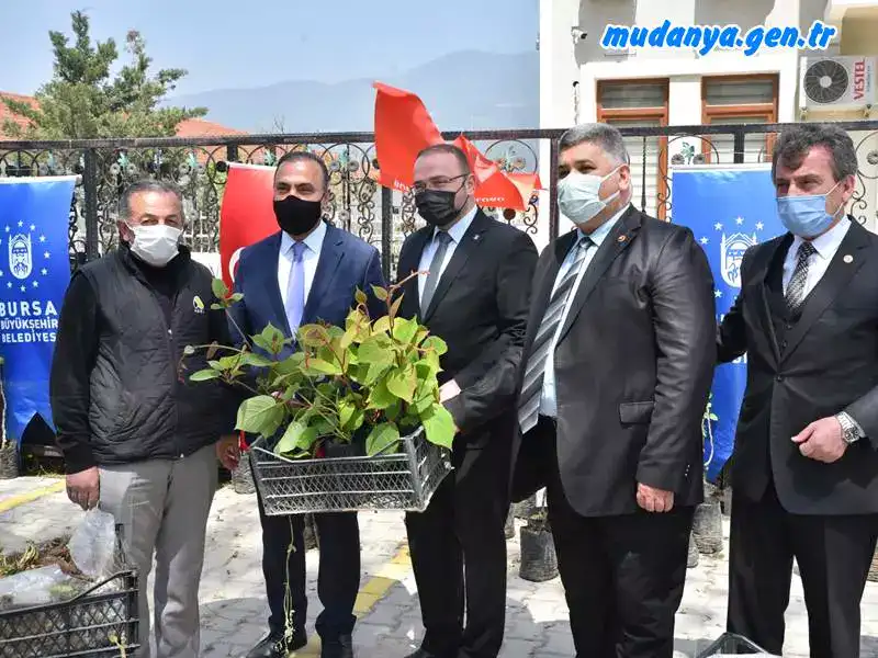 Bursa Büyükşehir'den Çiftçiye fidan desteği