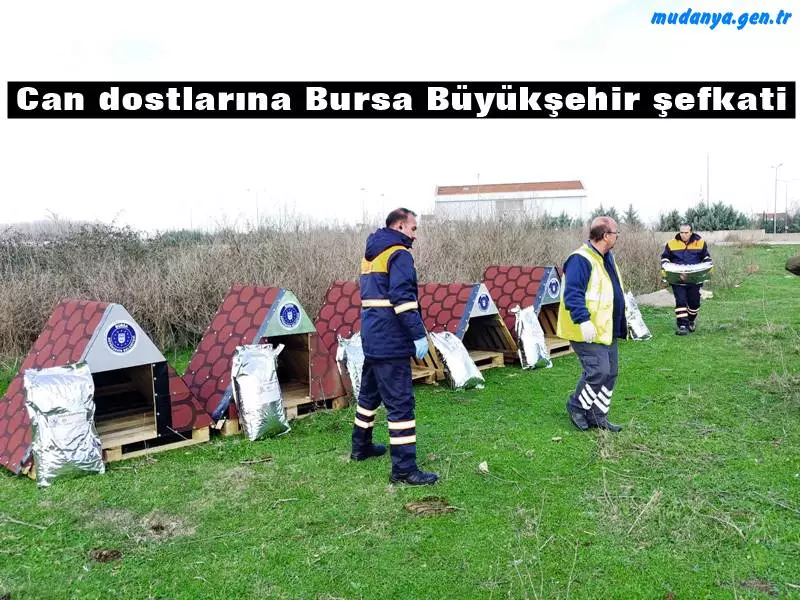 Can dostlarına Bursa Büyükşehir şefkati