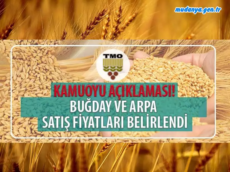 TMO BUĞDAY VE ARPA SATIŞ FİYATLARI BELİRLENDİ