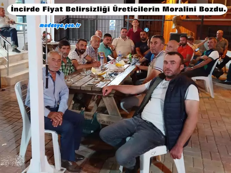 İncirde Fiyat Belirsizliği Üreticilerin Moralini Bozdu.