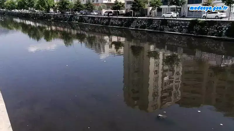 Cumhuriyet Halk Partisi (CHP) Parti Meclisi Üyesi Bursa Milletvekili Nurhayat Altaca Kayışoğlu, evsel ve kimyasal atıklarla 103 kilometrelik bir yolculuk sonucu Marmara Denizi'ne dökülen Nilüfer Çayı'ndan sonda Gemlik Körfezi'nden denize dökülen Karsak Deresi'nin durumuna da dikkat çekti.