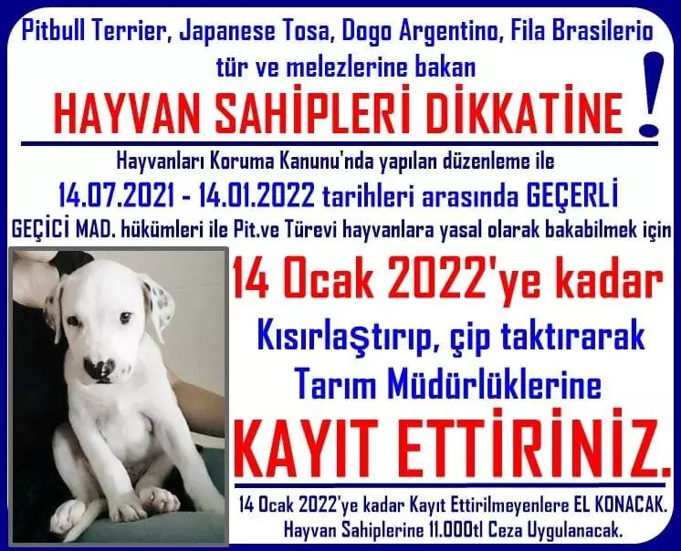 Mudanya İlçe Tarım Orman Ve Hayvancılık İlçe Müdürlüğü yaptığı duyuru ile Pitbull Terrier, Japanese Tosa, Dogo Argentino, Fila Brasilerio ırkı ve melezlerine sahip olan hayvanseverleri uyardı.