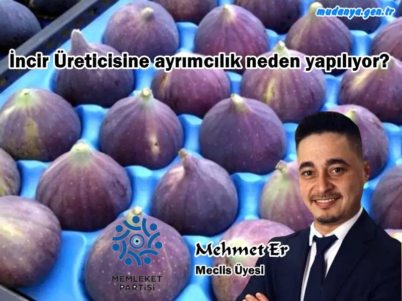 Meclis Üyesi Mehmet Er " Siyah incir üreticilerine yönelik uygulanan fiyat ayrımcılığını kınıyorum "