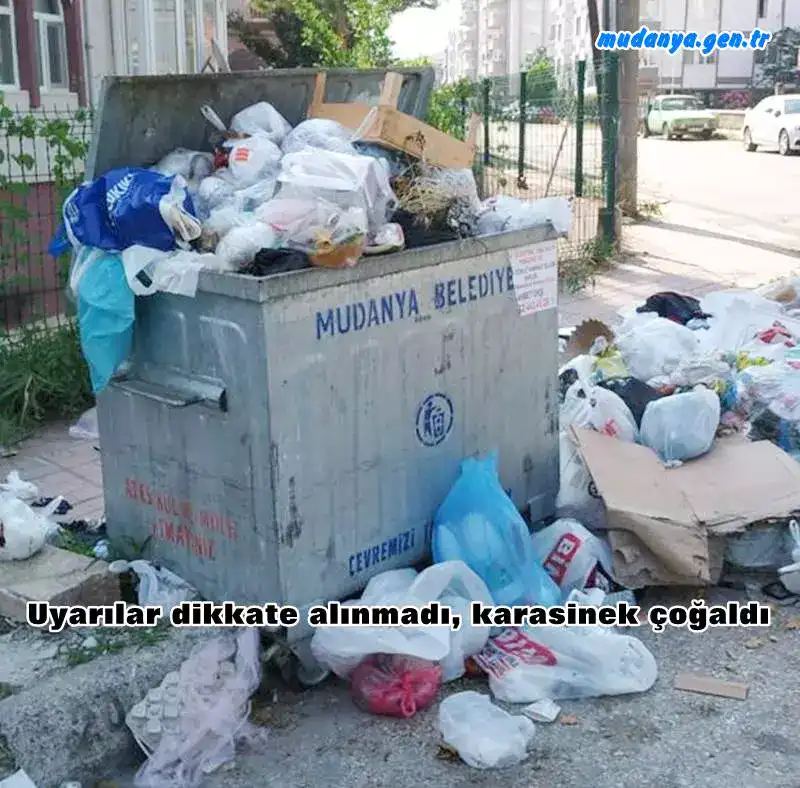 Bursa Büyükşehir Belediyesi tarafından ‘sakatatların çöpe atılmak yerine gömülmesi’ yönünde bayram öncesi yapılan uyarılar dikkate alınmayınca, karasinek çoğaldı. Büyükşehir Belediyesi ekipleri, ilaçlama çalışmalarını bayram boyunca kesintisiz sürdürürken, zamanında toplanmayan çöpler ile çöp konteynerlerine atılan kurban derileri ve sakatatların karasinek üremesini hızlandırdığı belirtildi.
