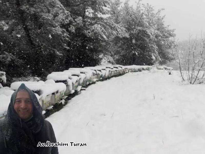Avukat İbrahim Turan. Mudanya'da arıcılık daha çok aile ihtiyacını karșılamaya yönelik olsa da son yıllarda profesyonel gezgin arıcı sayısında artıș gözlemlenmektedir.