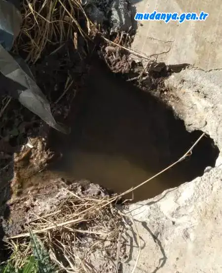 Mudanya Halitpaşa Mahallesin'de 1556/4 parselde (106. sokak) bulunan 30 daireli Nirvana Sitesi sakinleri iki yıldır zeytin bahçelerine akan pis su giderinin kanalizasyon hattı yapılarak bağlantının gerçekleştirilmesini istiyor. Mağdur olan site sakinleri lağım sularının zeytinliklere aktığını koku ve sinek yaptığını pandemide kamu sağlığını için tehdit oluşturduğunu vurgulayarak çözüm arıyor. 