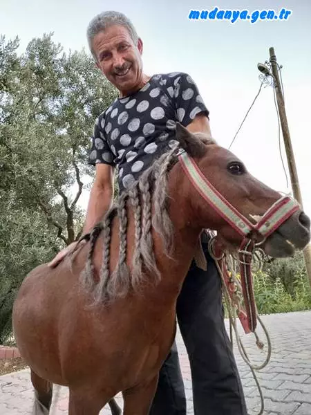 Mürsel'de açılan MEŞE Geniş bahçesi, mini oyun parkı, çocukların ilgi odağı olan Behlül adlı Midilli atı ile etkinlik ve organizasyonlara da ev sahipline hazır olan mekan, hafta içi saat 10:00-19:00, hafta sonları ise saat 10:00 ile 22:00 arasında hizmet veriyor.