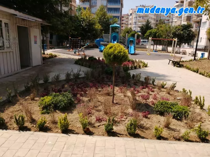 Şükür Çavuş Mahalle Muhtarı Şeref Şaş muhtarlık hizmet konteynırının bulunduğu park olan Yunuslar Parkının yeşillendirme çalışmasının Mudanya Belediyesi tarafından yapıldığını açıkladı.