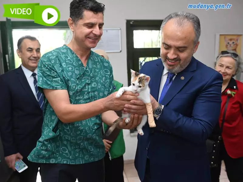 Bursa Büyükşehir Belediye Başkanı Alinur Aktaş, 4 Ekim Dünya Hayvanları Koruma Günü dolayısıyla ziyaret ettiği Sokak Hayvanları Tedavi Merkezi’nde 4 aylık yavru bir kediyi sahiplendi.