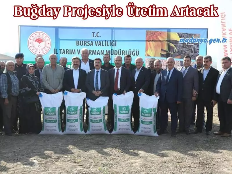 Tarım ve Orman Bakanlığının "Tarım Arazilerinin Kullanımının Etkinleştirilmesi Projesi" kapsamında, Bursa'da atıl durumda bulunan 7 bin 675 dekar araziye yüksek verimli buğday tohumları ekilecek. Tarım ve Orman Bakanlığı Bursa İl Müdürlüğü internet sayfasından verilen bilgilere göre proje çerçevesinde Bursa'da 653 çiftçiye yüzde 75'i hibe olmak üzere 176 ton yüksek verimli buğday tohumu dağıtıldı.