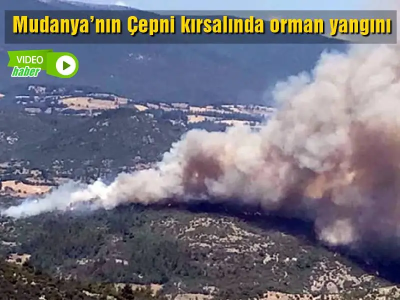 Mudanya'nın kırsal Çepni mahallesinde makilik alanda temizlik yapmak için yakılan ateş yangına dönüştü. Kıvılcımların bir anda çevre yayılmasıyla ateş zeytinlik alana sıçradı.