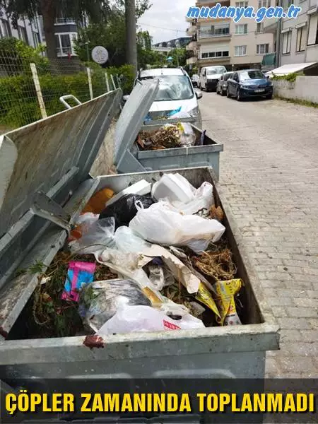Bursa Büyükşehir Belediyesi, Mudanya özelinde 14 personel, 6 adet ilaçlama aracı, 4 adet PLV,4 adet sivrisinek ULV'si, 1 adet karasinek ULV'si, 1 adet mist blower ve 10 adet sırt pompası olmak üzere toplamda 20 adet ilaçlama ekipmanı ile çalışmalarına kesintisiz devam ediyor. 