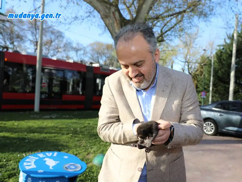 Eski lastikler kedilere ev oldu