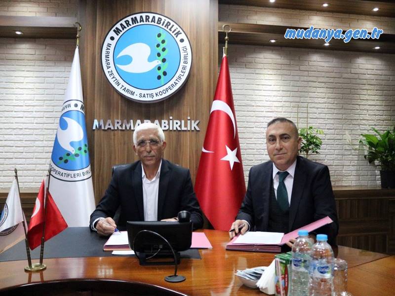 Marmarabirlik'ten zeytin üretimine destek projesi