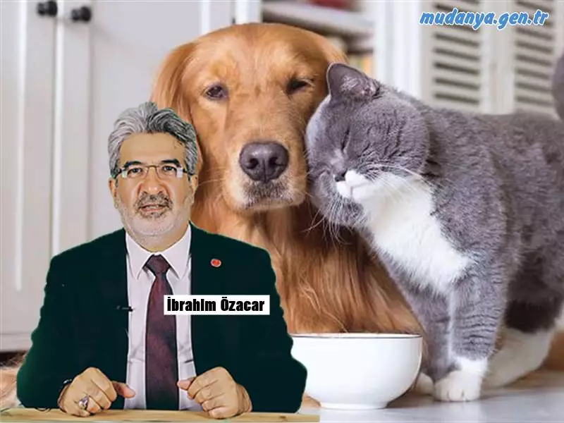 Saadet Partisi il başkan yardımcısı İbrahim Özacar, petshopların kasaplar odasına bağlanmasıyla ilgili bir  açıklama yaparak duruma tepki gösterdi. Özacar, “Yirmi yıldır yerelden genele iktidar olan AK Parti hükümetleri birçok konuda olduğu gibi dilsiz canlar hakkındaki yasal düzenlemeleri de eline yüzüne bulaştırdı. Cana bedel biçilemez. Dilsiz evcil canların satışına da ihmaline de karşıyız” dedi.