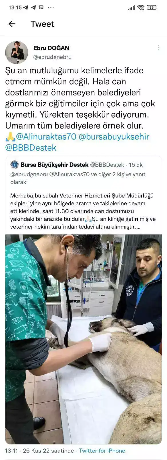 Ankara - İstanbul otobanında yolculuk yaparken, mola tesisleri yakınında yaralı bir sokak köpeği görüp, sosyal medyadan yardım isteyen bir hayvanseverin paylaşımı üzerine harekete geçen Bursa Büyükşehir Belediyesi ekipleri, ayağı kırılan köpeği tedaviye aldı.