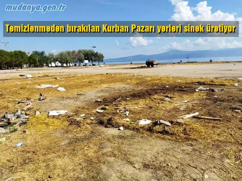 Tüm uyarılara rağmen 'sakatatların usulüne uygun gömülmeyip, çöp konteynerlerine atılması ve çöplerin de zamanında toplanmaması Mudanya'da karasinek artışına yol açtı.