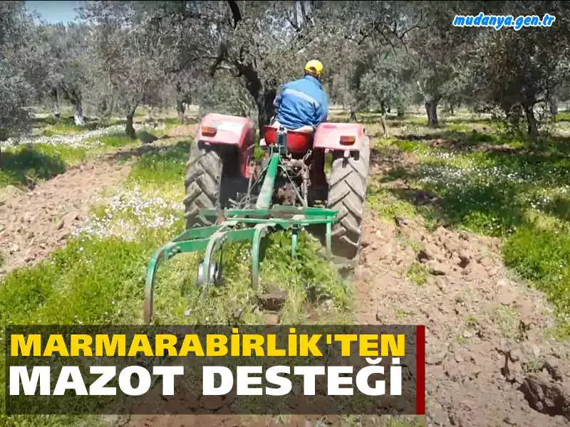 Tarihinde ilk kez ortaklarına geçtiğimiz yıl MAZOT desteği sağlayan Marmarabirlik, üreticiye toplam 173 milyon TL akaryakıt desteğinde bulunacak.